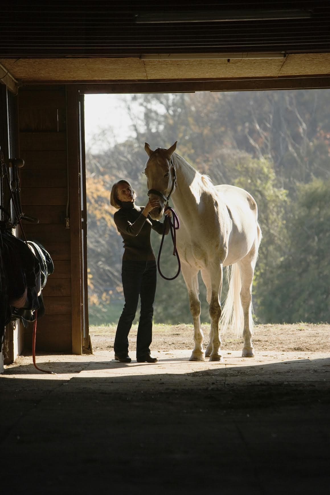 Horse and handler in a sunlit stable
