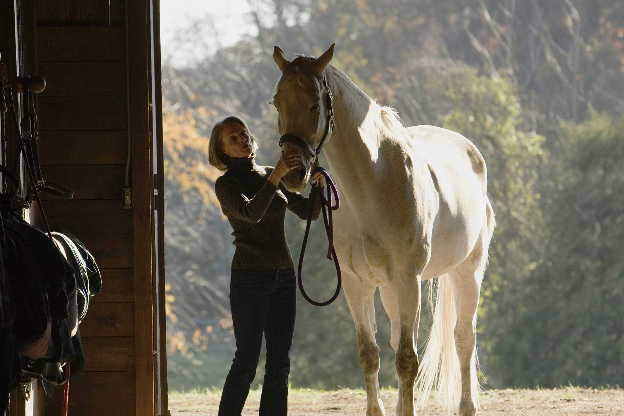 Woman of lady caring for a white horse in a stable